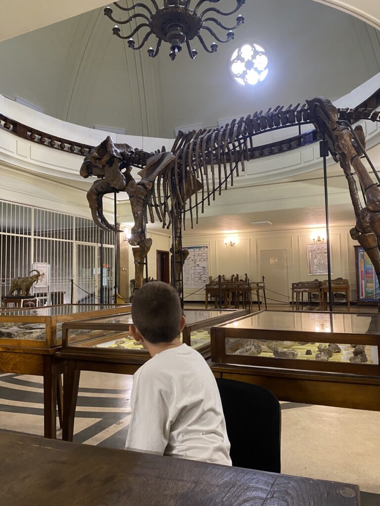 svqt-prikazen-history-museum-3