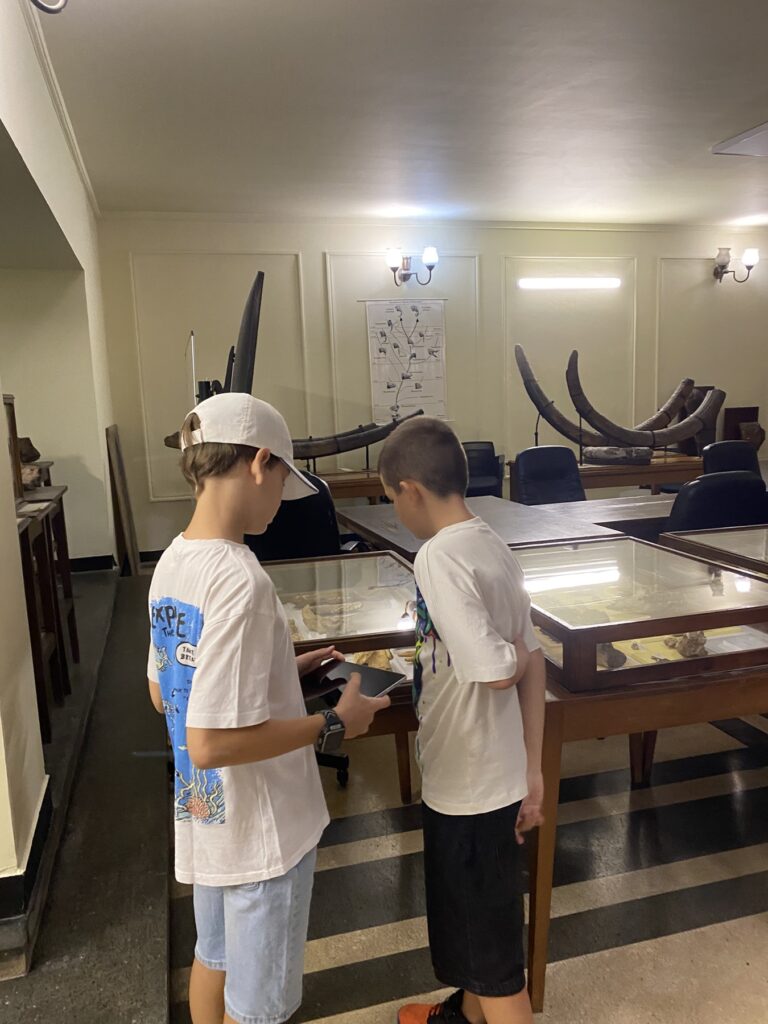 svqt-prikazen-history-museum-4