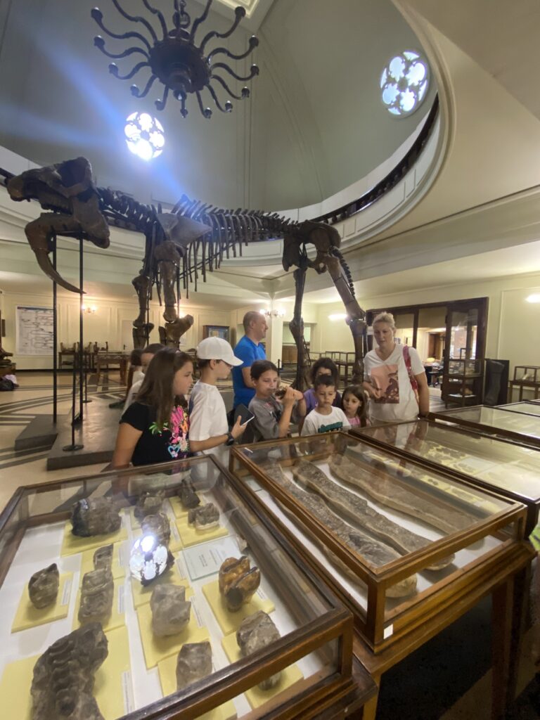 svqt-prikazen-history-museum-5