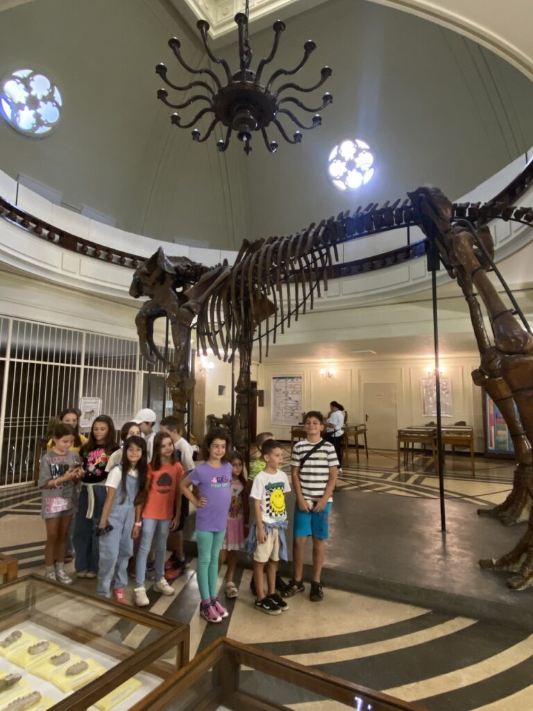 svqt-prikazen-history-museum-6